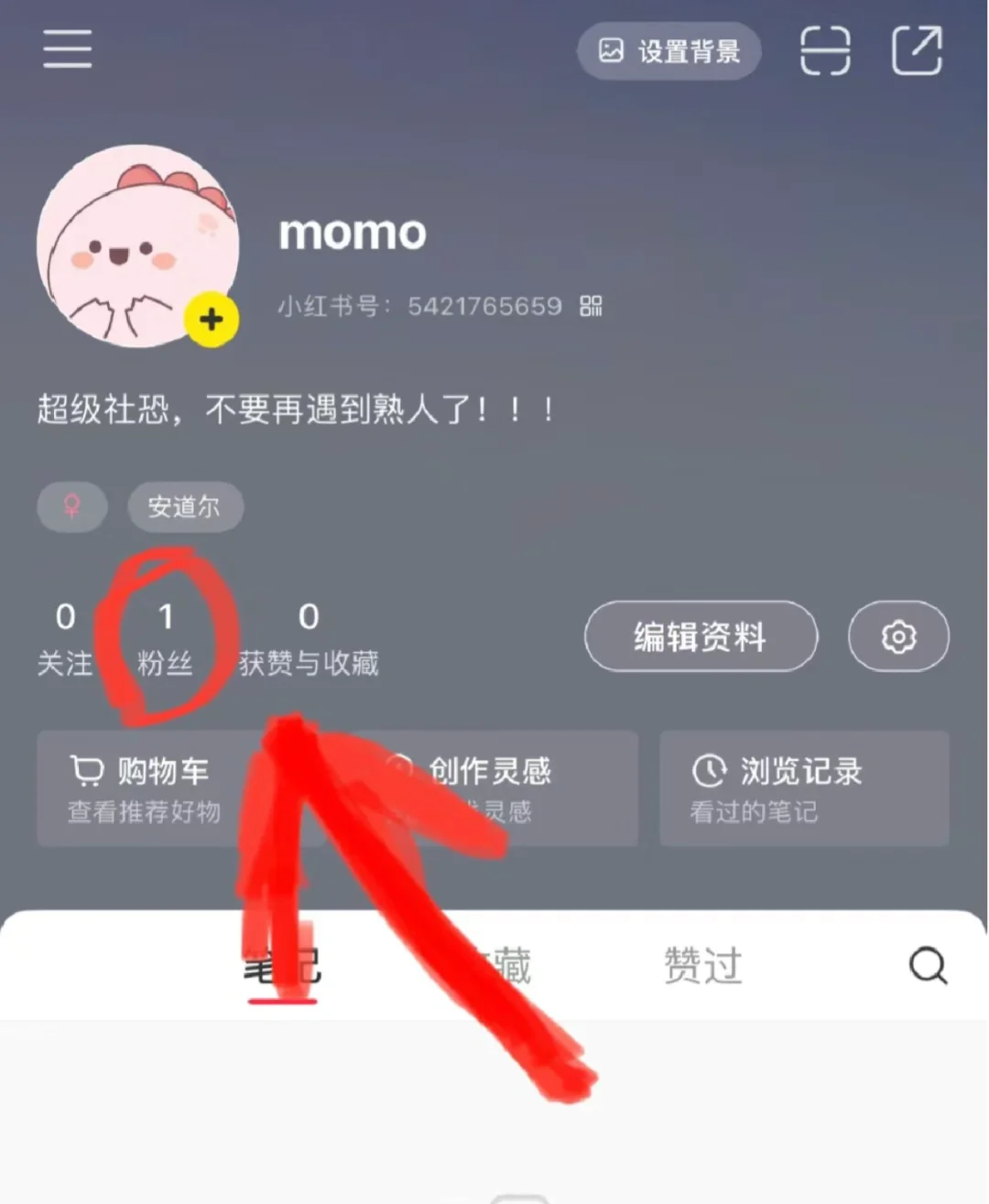 爆款笔记截图