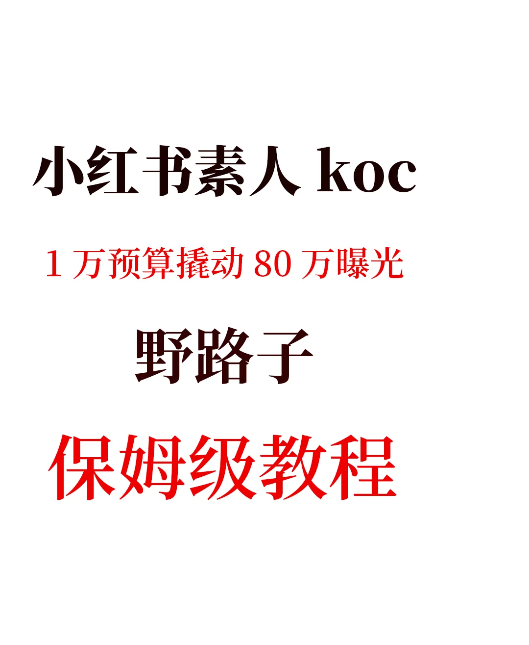 小红书运营界面截图