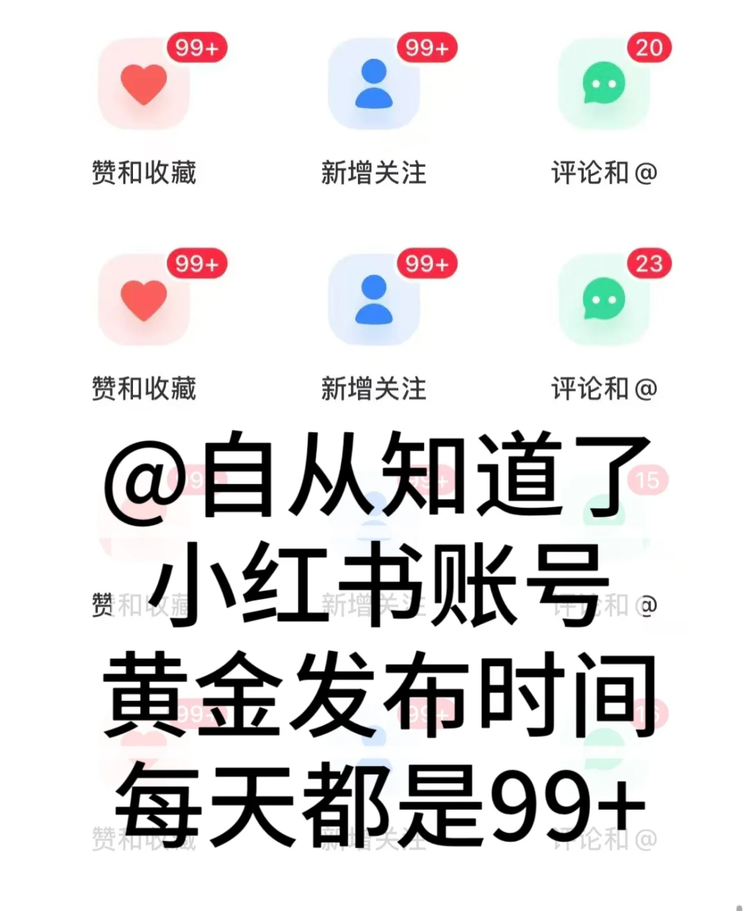运营数据截图