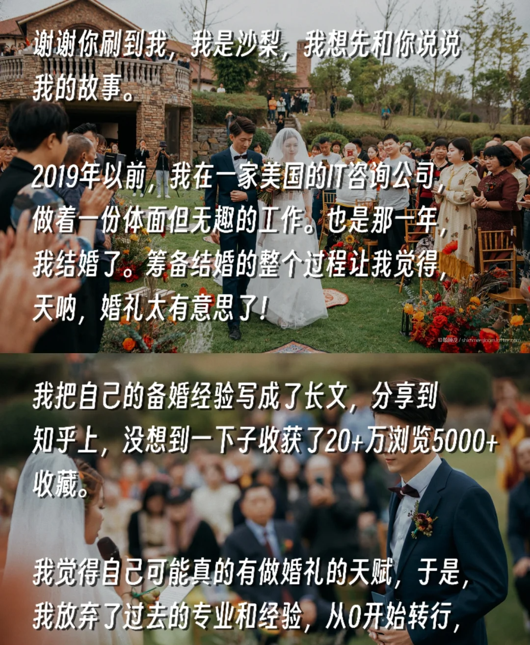 评论区互动示例