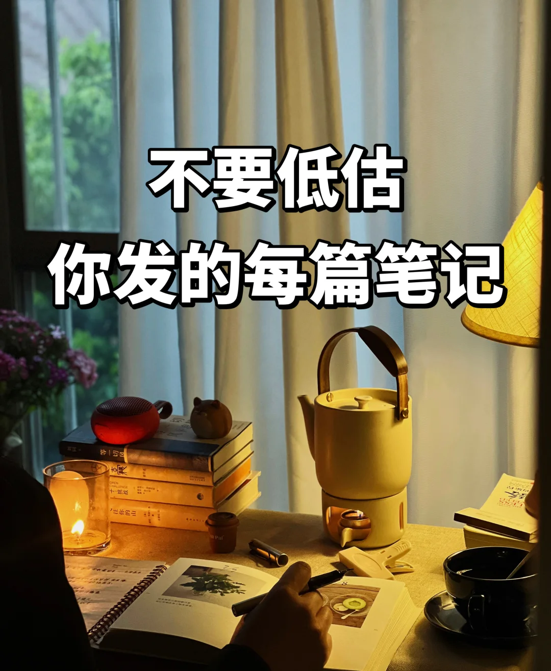 小红书数据截图