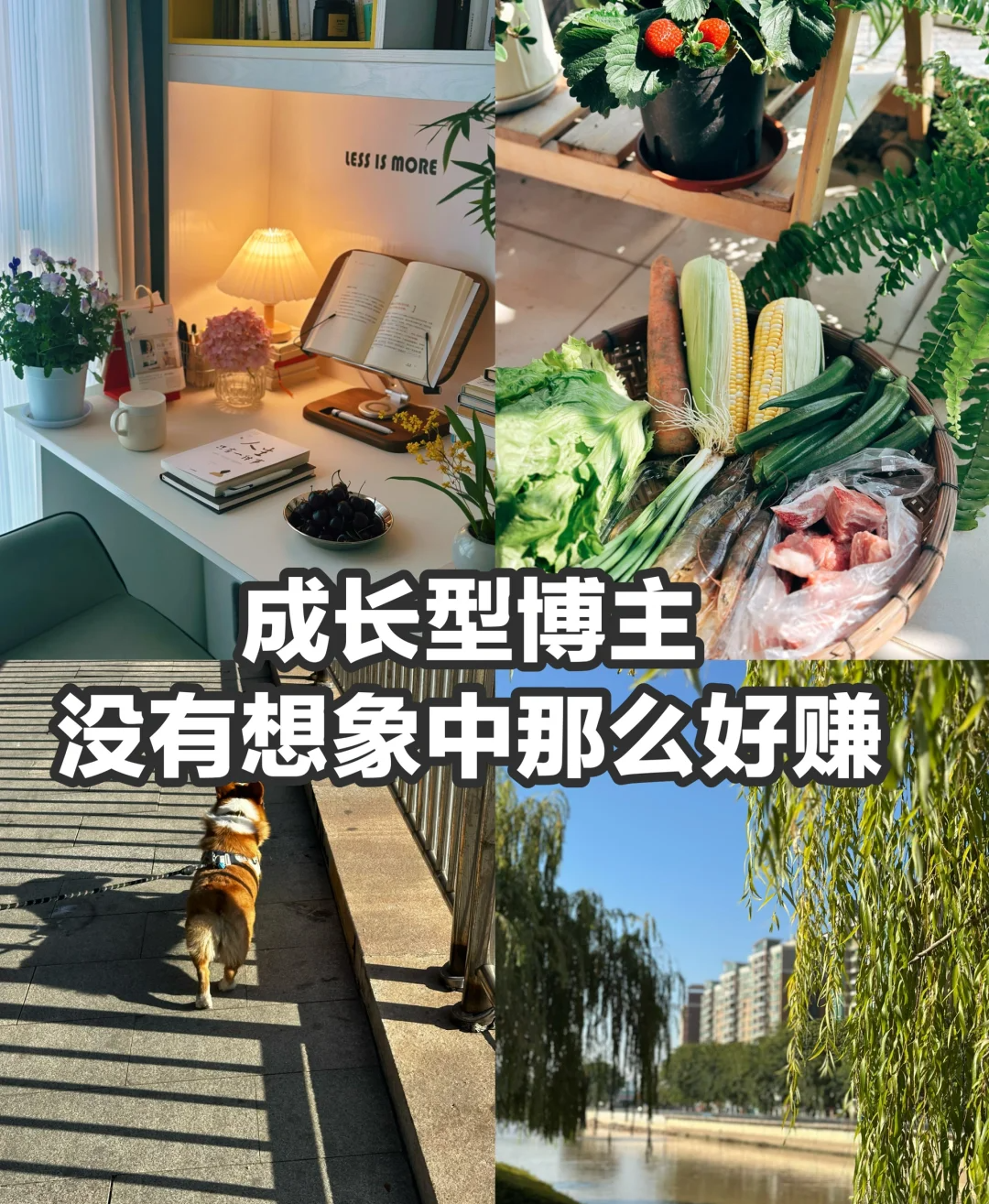 手机拍摄的美食素材