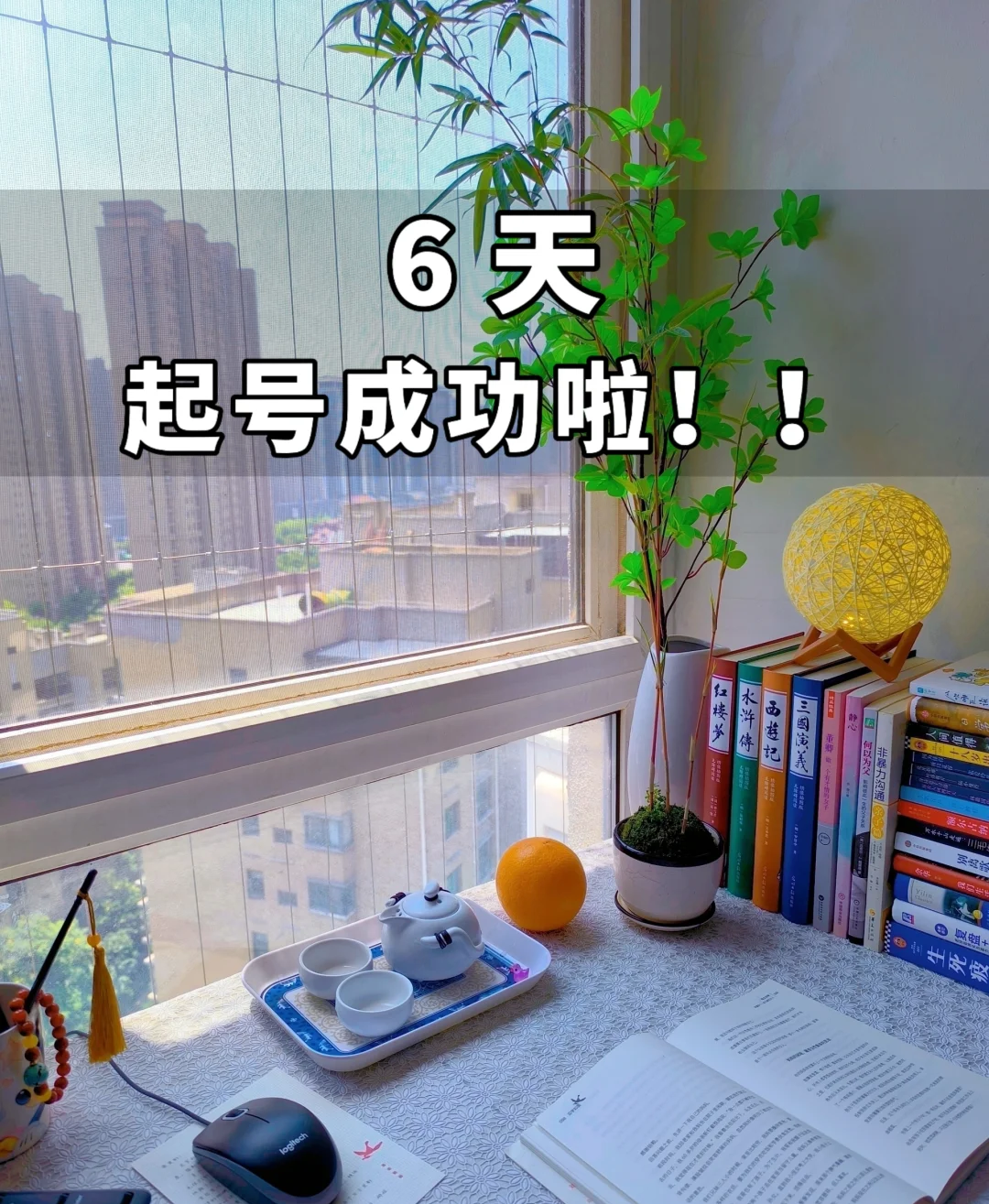 小红书运营界面
